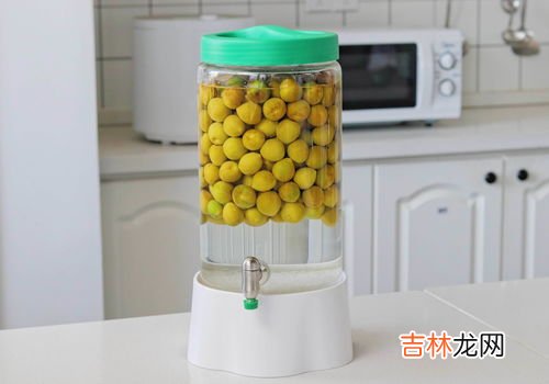 青梅几月份成熟泡酒,青梅酒坏了是什么样子 如何判断青梅酒坏了