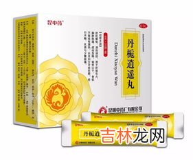 逍遥丸的作用,逍遥丸有什么效果