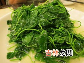 菊花脑是什么菜,菊花心是什么菜