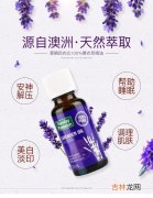 薰衣草精油去痘印,薰衣草精油多久才能祛痘印