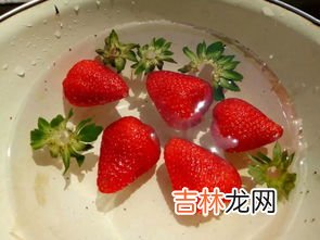 草莓要放冰箱吗,草莓可以放冰箱保鲜吗?