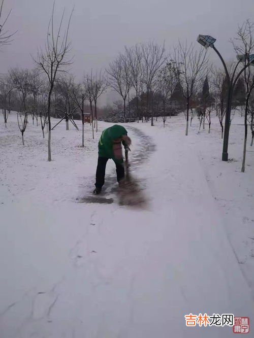 高速下雪后什么时候清理,下雪高速封路多久解封