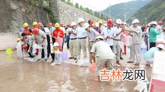 6个 澜沧江流经哪几个国家,澜沧江――湄公河经过了哪些国家？
