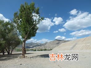 什么是可可托海,可可托海在哪里?那拉提是什么?