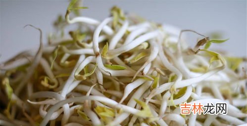 绿豆芽买多了吃不完怎么保存,绿豆芽的保鲜很重要，绿豆芽该怎么储藏保鲜？