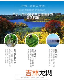 新疆的物产,新疆有什么物产