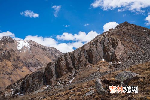 雪山虫草大补丸的功效,雪山关节虫草什么功效