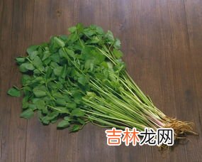 荠菜是地菜吗,荠菜是什么菜