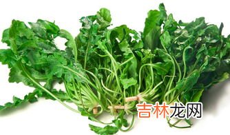 荠菜是地菜吗,荠菜是什么菜