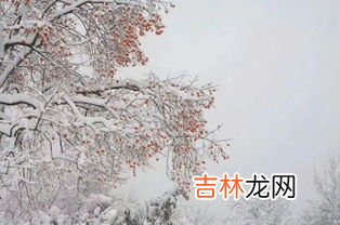 来年枕着馒头睡原文,小学三年级语文《瑞雪》原文、教学反思及教案