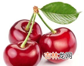 斯旺森樱桃功效,美国斯旺森功效