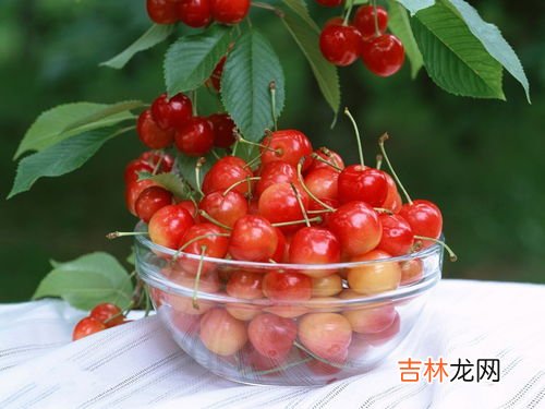 斯旺森樱桃功效,美国斯旺森功效