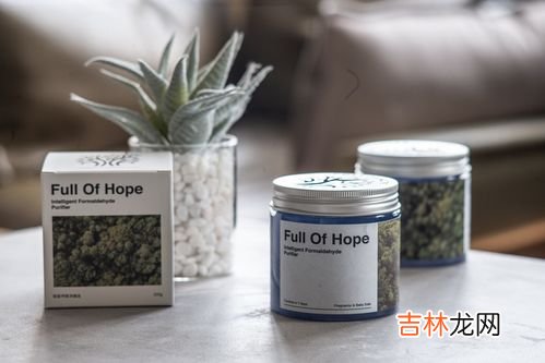 甲醛果冻能除甲醛吗,除甲醛果冻管用吗?