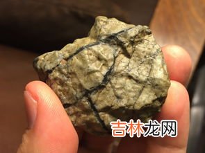 陨石到哪里鉴定,天外来客“陨石”，究竟要去哪里证明是不是陨石呢？