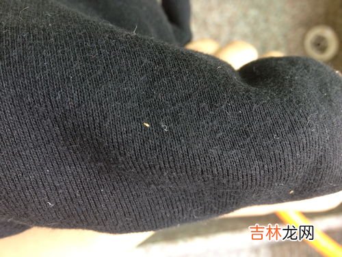衣鱼虫怎么根除,怎样根治衣鱼虫？