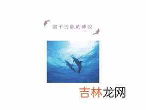 海豚的象征意义,海豚的象征意义是什么？