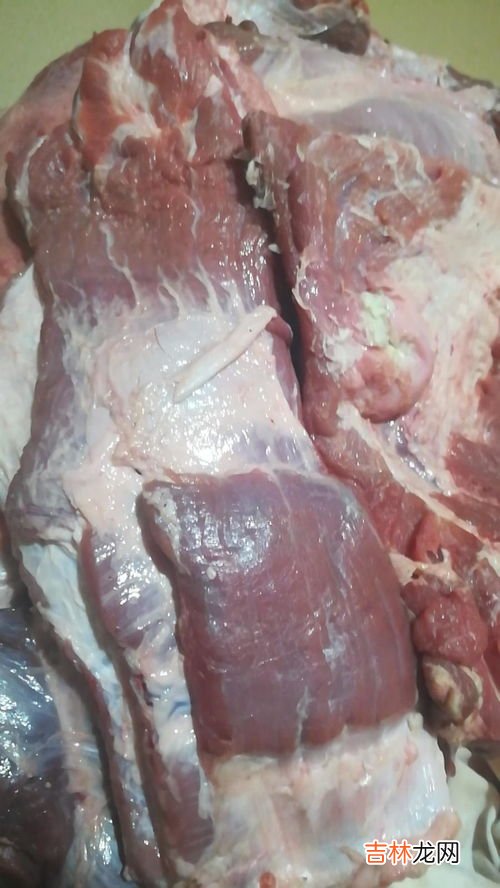 牛肉上一层白的膜怎么去掉,去除牛肉的筋膜技巧 怎么去除牛肉的筋膜