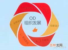 od是什么,人力资源里OD是什么意思