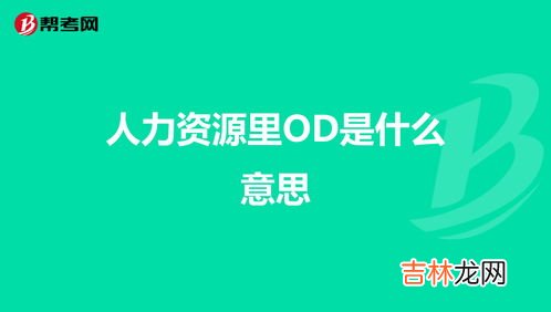 od是什么,人力资源里OD是什么意思