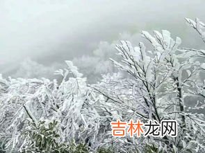 雪是怎么形成的,物理现象雪是怎么形成的?