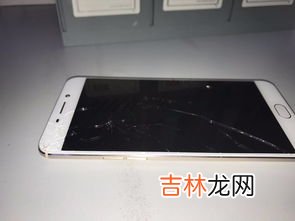 oppo屏幕失灵怎么强制关机,oppo手机卡屏了怎么强制关机