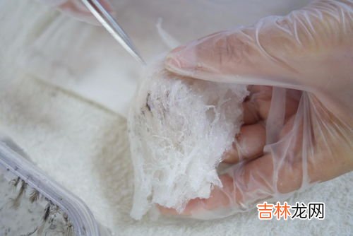 燕窝很小的毛挑不干净怎么弄,燕窝的毛怎样才能搞干净 如何挑燕窝里面的毛