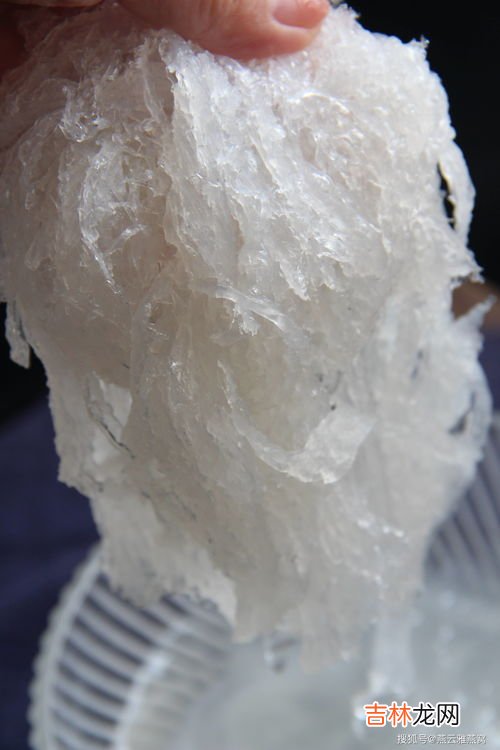燕窝很小的毛挑不干净怎么弄,燕窝的毛怎样才能搞干净 如何挑燕窝里面的毛