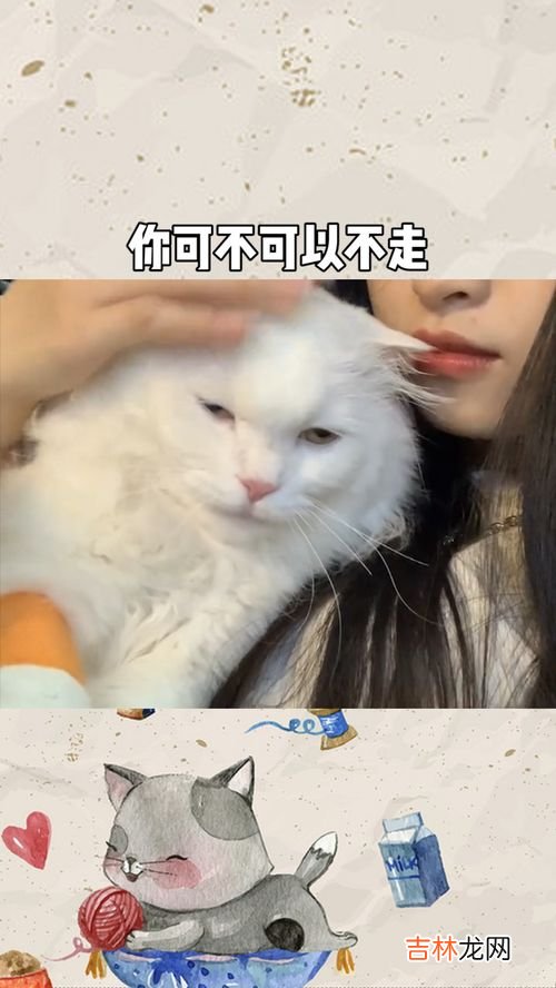 我连未来都想好了可你半路却走了歌名,有没有关于梦想的歌