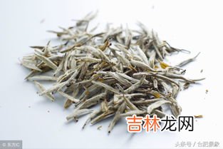 银针茶叶属于什么茶,君山银针属于什么茶