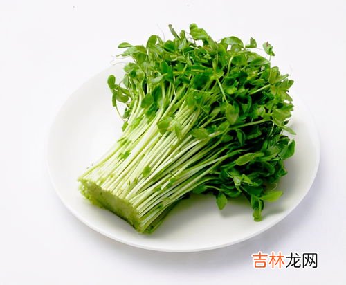 野生豌豆苗能吃吗,野豌豆尖能吃吗？