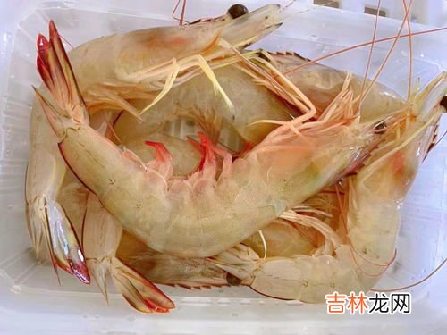 虾头红了是不是不新鲜,虾变红了还能吃吗？为什么会变红？