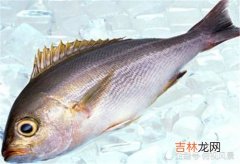 鱼元子可以冷冻吗,鱼元子的存放?