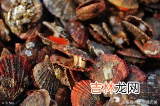 海鲜冬天放室外可以吗,保鲜箱的生蚝冬天能放在室外吗