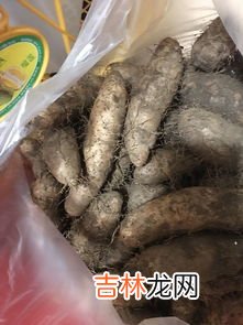 生姜长在地上还是地下,姜生长在哪里 姜生长在什么地方