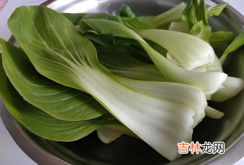 油菜怎么保存,油菜可以生吃吗 吃油菜要注意什么