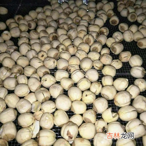 干莲子要泡多久才可以煮,莲子泡多久可以煮