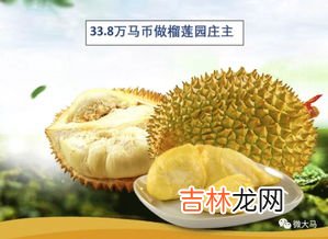 榴莲等级,逛市场买榴莲 老板说的，A级B级，一等二等货是什么意思？有什么区别吗