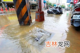 重大地震灾害是指,地震灾害分级知识