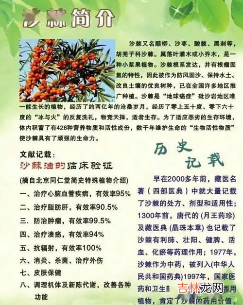 沙棘果提取物的作用,请问沙棘对人好还是坏，真有想不到的效果吗