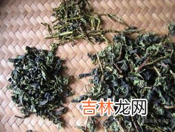铁观音是哪里的特产,铁观音是哪里的特产?