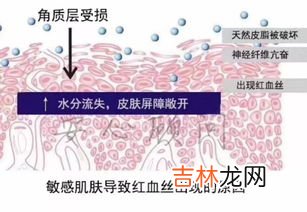 脾多肽真有用吗,脾多肽的作用与功效