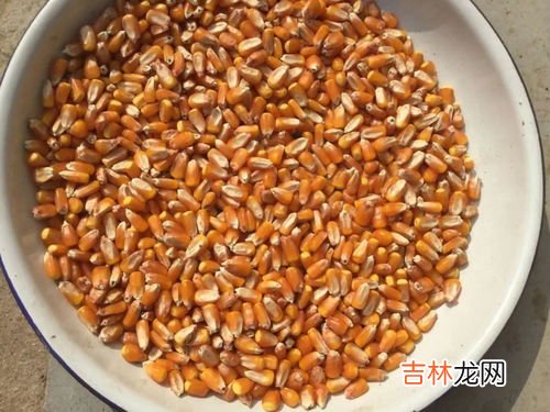 硬米是什么,粳米是什么