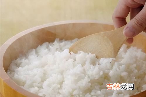 硬米是什么,粳米是什么
