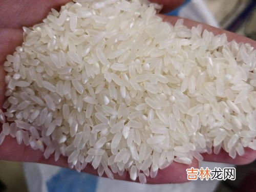硬米是什么,粳米是什么