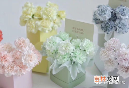 康乃馨能吃吗,康乃馨可以吃吗