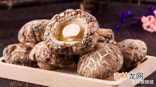 香菇营养成分,香菇的营养?