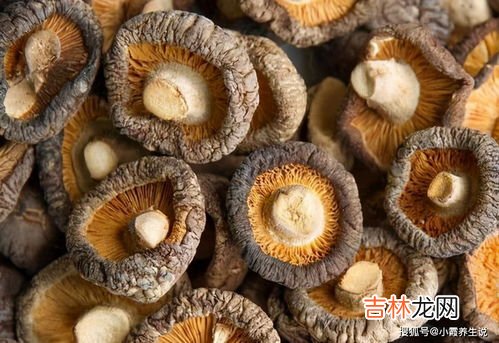 香菇营养成分,香菇的营养?