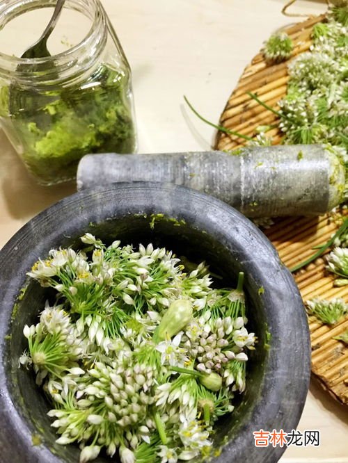 韭菜花的功效与作用,韭菜花的功效 韭菜花怎么吃好