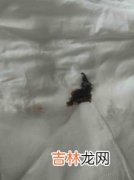 蚕卵粘在纸上怎么弄下来,死蚕卵我家买了蚕卵 它们粘在纸上 我自作主张把它们扣下来了，是