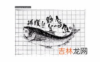乌鱼子的乌鱼是什么鱼,乌鱼子的乌鱼是梭鱼吗